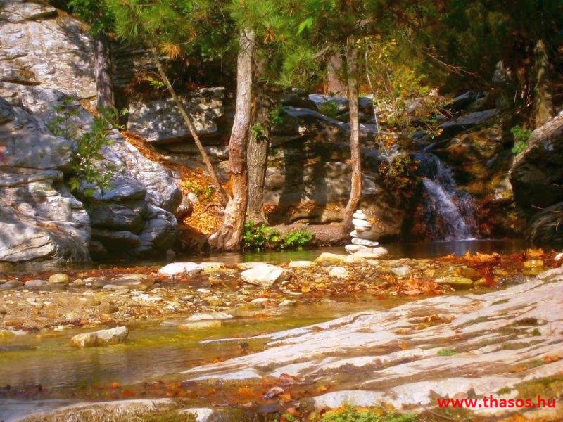 Az öreg falu, a vén platán és a folyók meséje